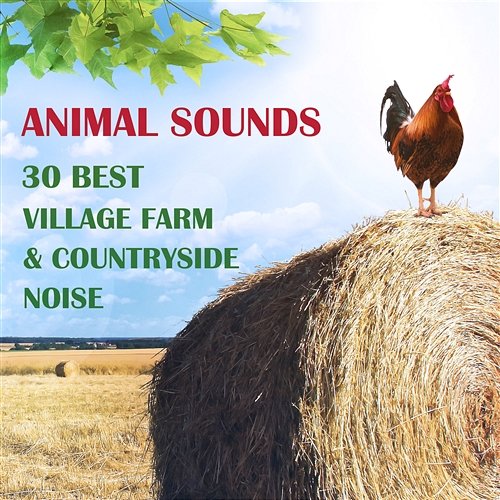 Animal Sounds: 30 Best Village Farm & Countryside Noise from Europe Various Artists