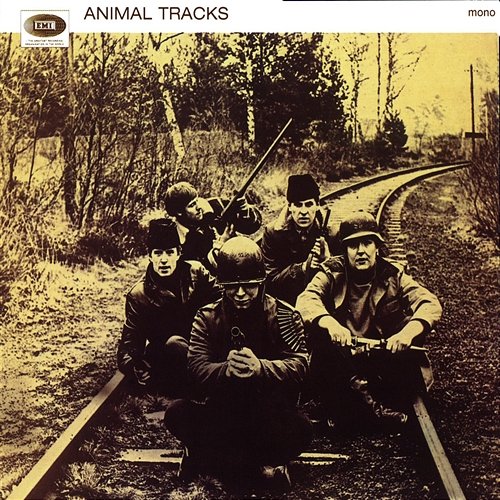 Animal Tracks The Animals