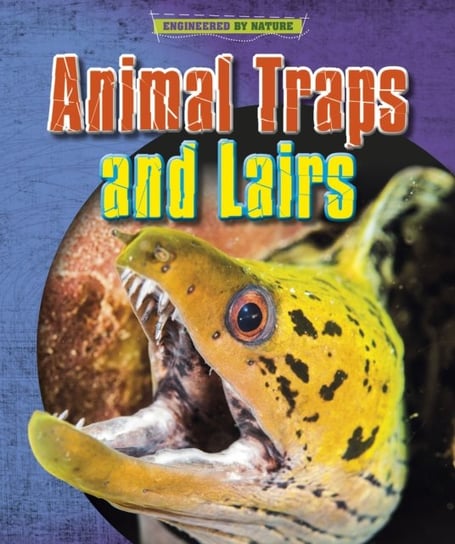 Animal Traps and Lairs Louise Spilsbury