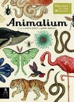 Animalium Broom Jenny