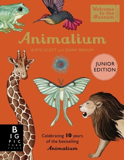 Animalium (Junior Edition) Broom Jenny