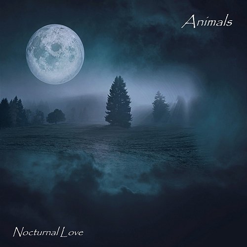 Animals Nocturnal Love