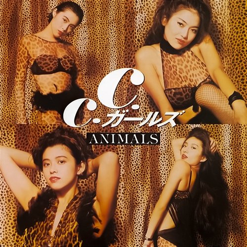 Animals C.C.GIRLS