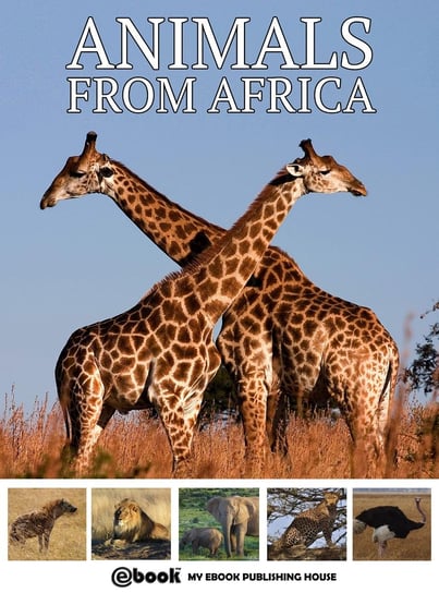 Animals from Africa Opracowanie zbiorowe