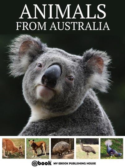 Animals from Australia Opracowanie zbiorowe