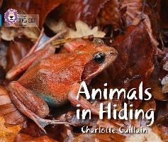 Animals in Hiding Guillain Charlotte