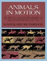 Animals in Motion Muybridge Eadweard