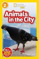 Animals in the City (L2) National Geographic Kids