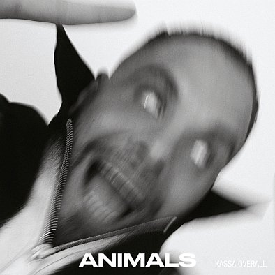 Animals (Limited Edition) (przeźroczysty winyl) Overall Kassa