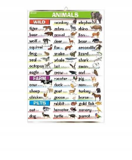 Animals: wild, farm, pets plansza angielski plakat VISUAL System