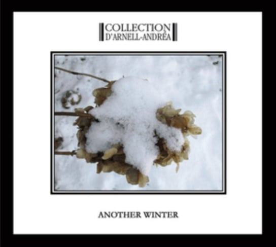 Another Winter Collection D'Arnell Andrea