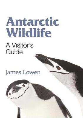 Antarctic Wildlife Lowen James