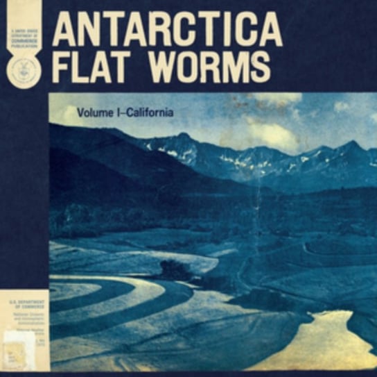 Antarctica Flat Worms