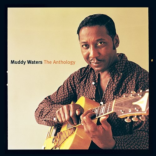 Anthology Muddy Waters