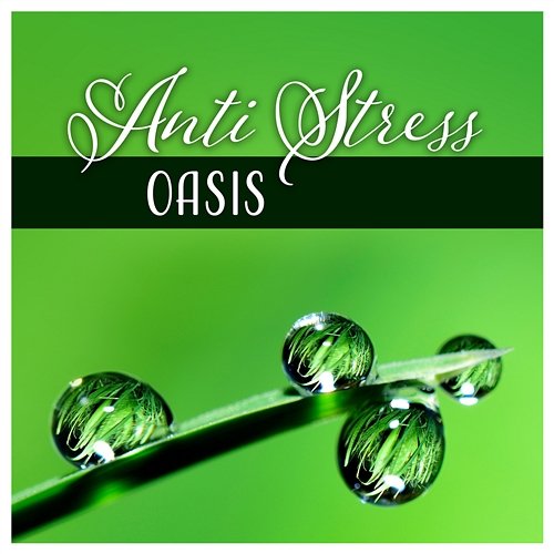 Anti Stress Oasis - Relaxation for Deep Sleep, Healing Yoga Meditation Zone, Tranquil & Soothed Mind Zen Relaxation Academy