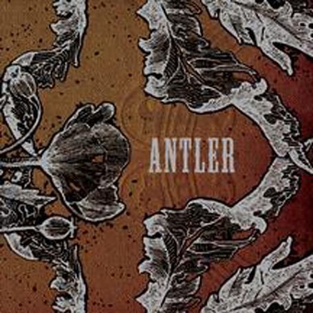 Antler Antler