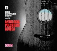 Antologia Polskiego Bluesa Various Artists