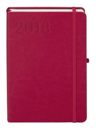 Antra, kalendarz książkowy 2018, format A5, Formalizm, malinowy Antra