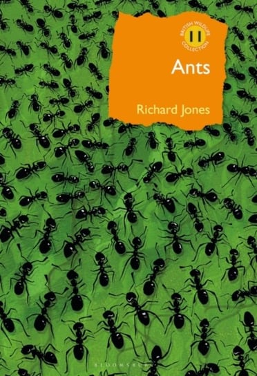 Ants: The ultimate social insects Jones Richard