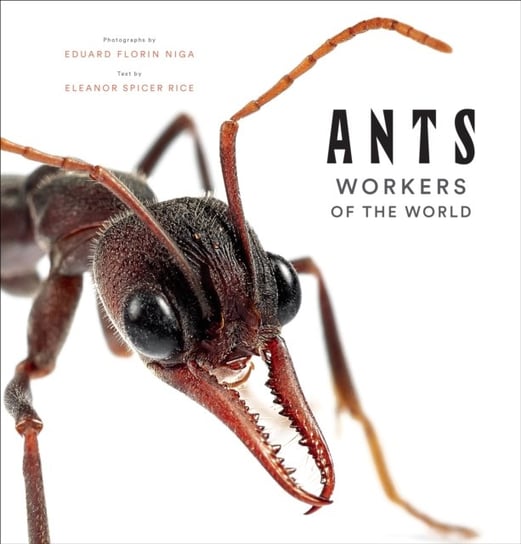 Ants: Workers of the World Eleanor Spicer Rice