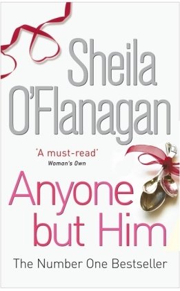 Anyone but Him: A touching story about love, heartache and family ties O'Flanagan Sheila
