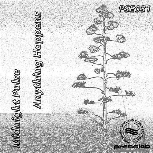 Anything Happens Midnight Pulse
