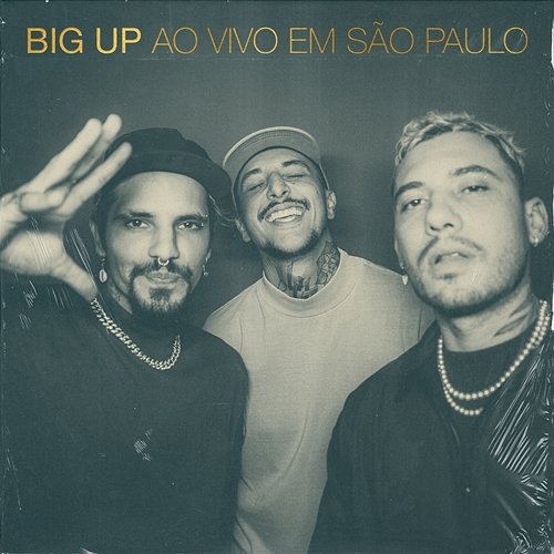 Ao Vivo Em São Paulo Big Up