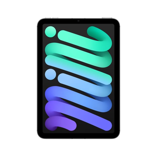 Apple iPad mini Wi-Fi + Cellular 128GB - gwiezdna szarość - 2024 Inna marka