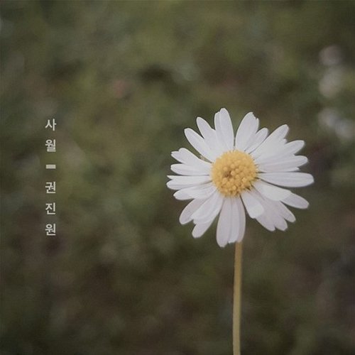 April Blossom Jin-Won Kwon