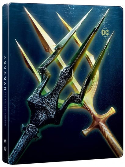 Aquaman and the Lost Kingdom (Aquaman i Zaginione Królestwo) (steelbook) Various Directors