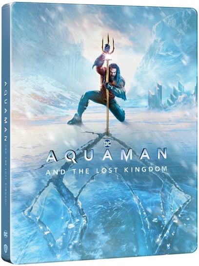 Aquaman and the Lost Kingdom (Aquaman i Zaginione Królestwo) (steelbook) Various Directors