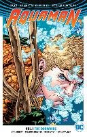 Aquaman Vol. 1 (Rebirth) Abnett Dan