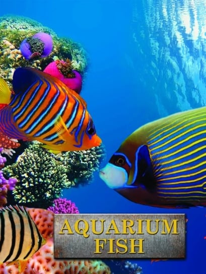 Aquarium Fish Cleave Andrew