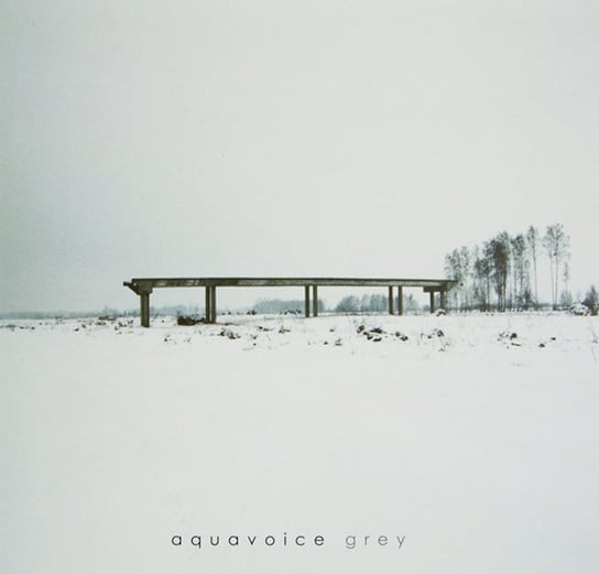 AQUAVOICE - Grey Aquavoice