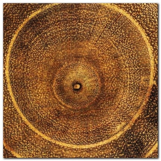 Arboreal Rings I plakat obraz 50x50cm Wizard+Genius