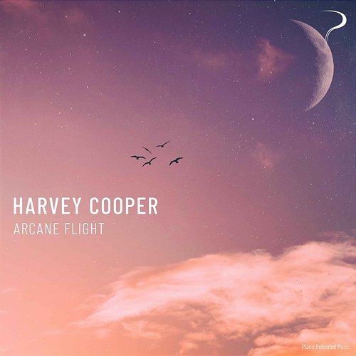 Arcane Flight Harvey Cooper