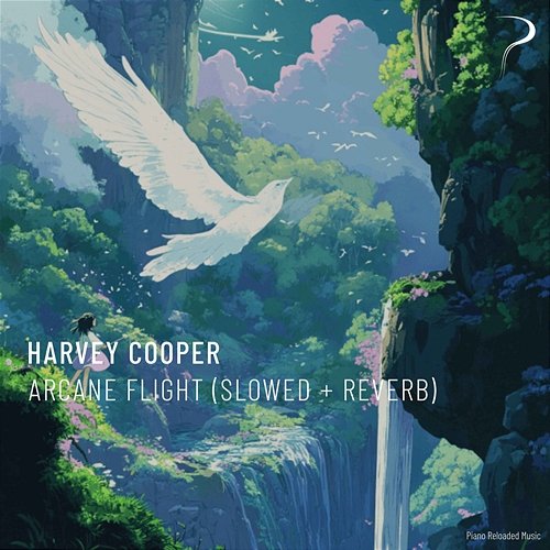 Arcane Flight Harvey Cooper
