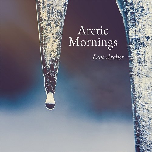 Arctic Mornings Levi Archer