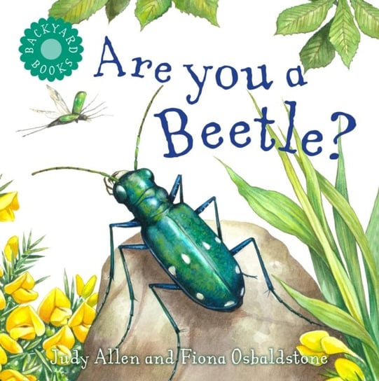 ARE YOU A BEETLE Allen Judy