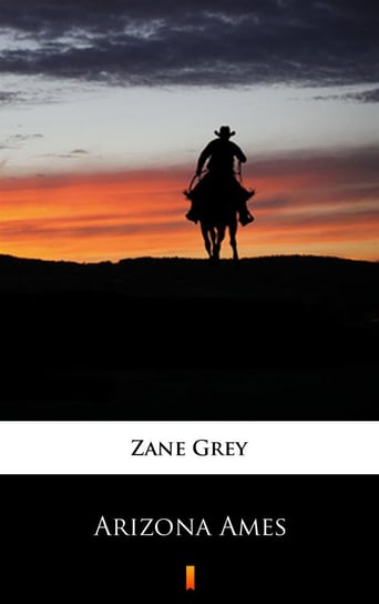 Arizona Ames Grey Zane