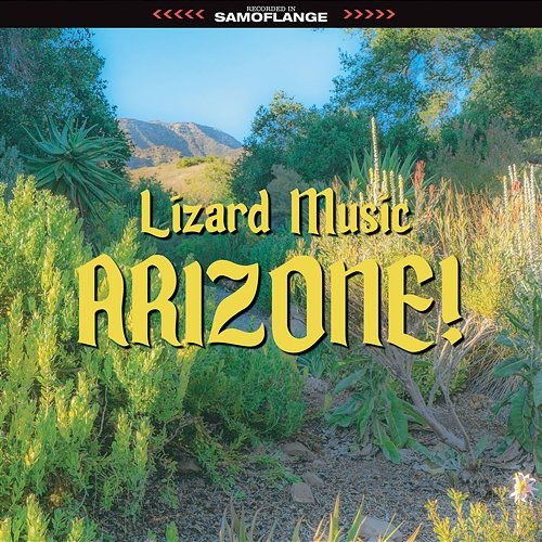 Arizone! Lizard Music