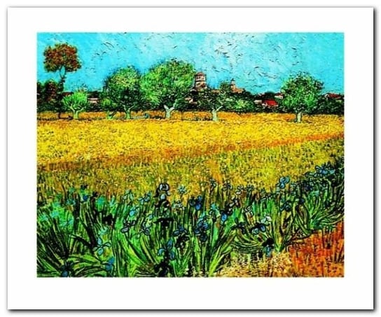 Arles Les Irises plakat obraz 60x50cm Wizard+Genius