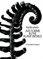 Art Forms in the Plant World Dover Publications Inc.
