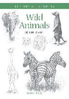 Art of Drawing: Wild Animals Civardi Giovanni