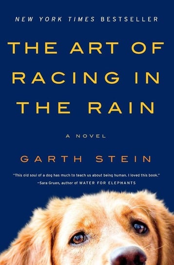 Art of Racing in the Rain, The Stein Garth