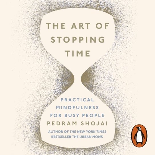 Art of Stopping Time - audiobook Shojai Pedram