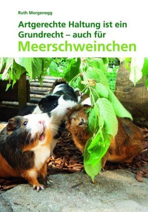 Artgerechte Haltung - ein Grundrecht auch für Meerschweinchen Kaufmann