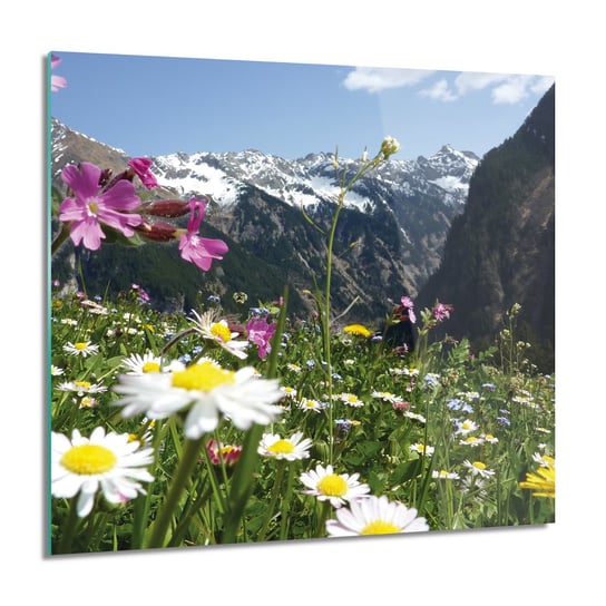 ArtprintCave, Alpejska łąka góry Obraz szklany ścienny, 60x60 cm ArtPrintCave