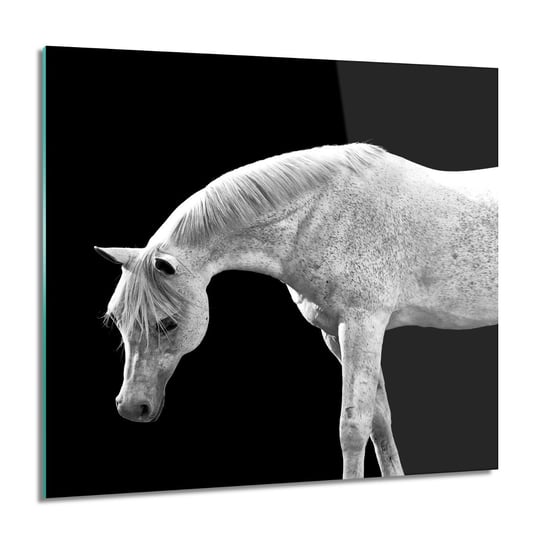 ArtprintCave, Biały koń do sypialni Obraz na szkle ścienny, 60x60 cm ArtPrintCave