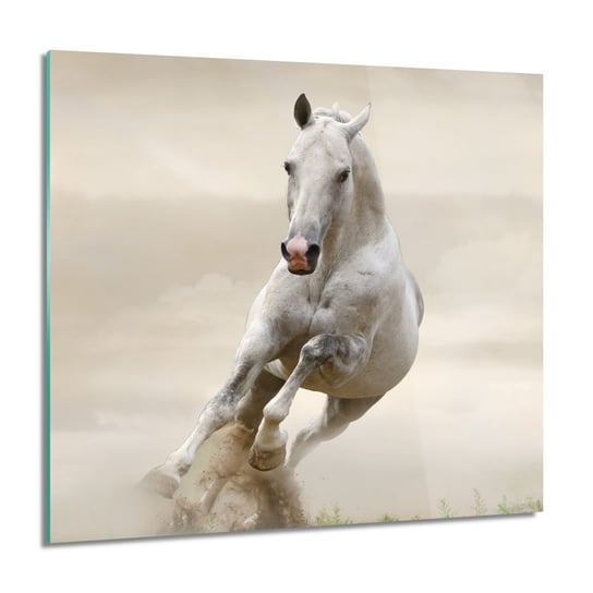 ArtprintCave, Biały koń galop do sypialni Obraz szklany, 60x60 cm ArtPrintCave
